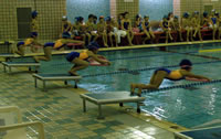 水泳記録会2011